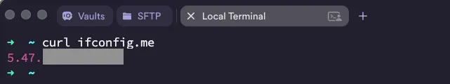 Output of curl ifconfig.me in a terminal; a public IP address starting with 5.47, completely different from the modem's WAN IP